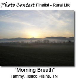 Morning Breath - Tellico Plains, TN