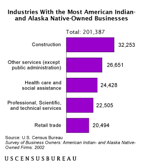 Industries With Most American Indian- and Alaska Native-Owned Businesses