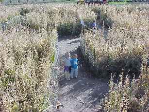 Corn maze turning points.