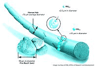 Drawing illustrates the relative size of particle pollution.  Five, 10 micrometer particles fit across one human hair.  Four, 2.5 micrometer particles fit across one 10 micrometer particle.