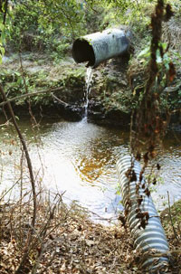 image of polluted stream