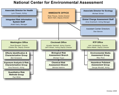 NCEA Organization Chart