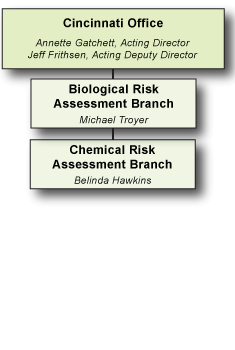 NCEA Cincinnati Organization Chart