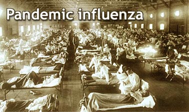 Pandemic influenza