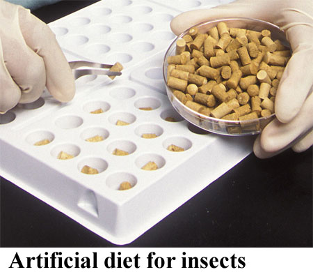 Artificial diet for insects