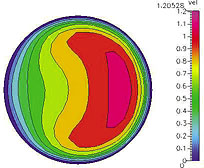 CAPPS efforts in biovalidation of processes