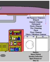 laundry room with hazardous substances listed