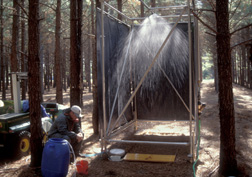 Using a rainfall simulator, technician collects runoff from a loblolly pine stand: Click here for full photo caption.