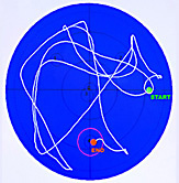 This diagram of the top view of a later trial of a rat fed standard chow shows that the rat improved little or not at all in learning how to locate the platform. 