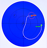 This diagram of the top view of a later trial of a rat fed blueberry extract shows that the rat learned quickly to locate the platform.