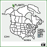 Distribution of Acacia retusa (Jacq.) Howard. . Image Available. 