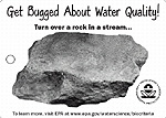 Get Bugged About Water Quality