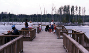 visitors fishing image