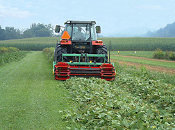 Crimping roller used for elevated beds (for one bed and two furrows) with a custom-designed crimping bar to reach both furrows and a row top: Click here for full photo caption.
