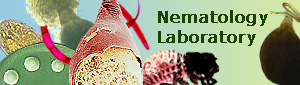 Nematology Laboratory Site Logo