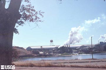 Lumber mills and paper manufacturing plants have been implicated as sources of dioxins and other chemical contaminants.