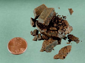 Photo of several small, dark brown chunks of resinous material next to a penny for size comparison.