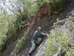 Red blocky colluvial soil on steep slope