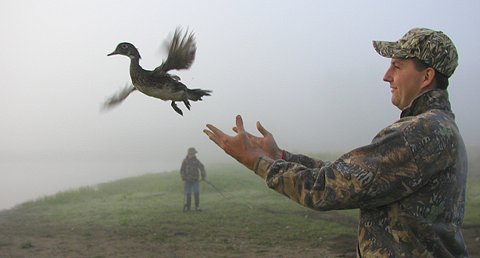 Photo of a man releasing a wood duck after having banded it - Photo credit:  U.S. Fish and Wildlife Service / Candy Chambers