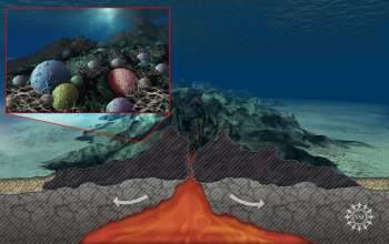 Scientists have found that rocks beneath the seafloor are teeming with microbial life.