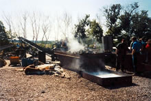 mussel processing operation