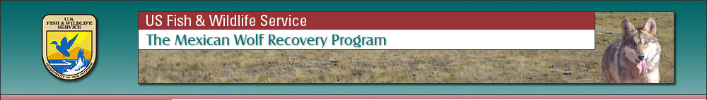 The Mexican Wolf Recovery Program Web Site