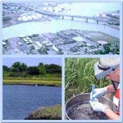 Top: Growth and urban development along the shoreline in the northeast United States. Bottom (L): A marsh with little human activity. Bottom (R): A researcher sampling and measuring marsh shellfish.