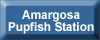 Button to Amargosa Pupfish Station web page
