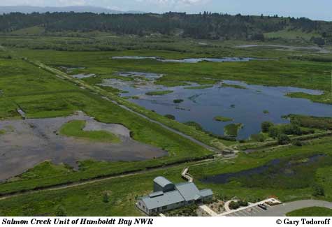 Humboldt Bay NWR