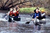 Photo of four people canoing in a river