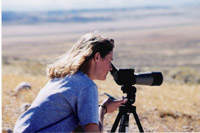 Photo of a researcher observing wild horses in the field.