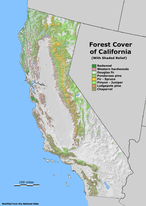 Forest Cover Map of California