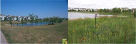Before (left) and After photos of award-winning wetland restoration at Harbor Springs in Aurura, Illinois (Photo on left courtesy of Pizzo and Associates, Ltd.)