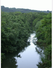 Scientists are studying water and other ecosystems through NSF's BE awards.