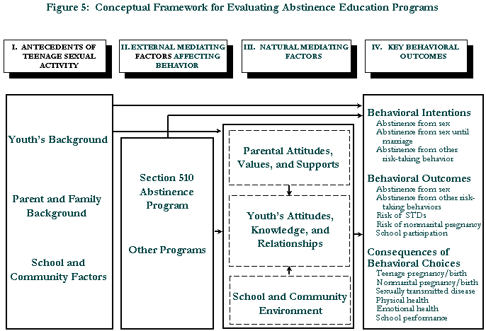 Figure 5. Conceptual Framework for Evaluating Abstinence Education Programs.