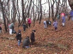 Volunteers cleaning up wooded area