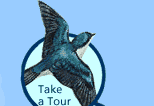 Take a Tour