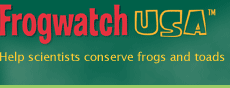 Frogwatch USA