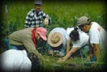 Naturalists in field at a corporate site for Dupont, Inc