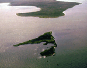 Aerial view of part of Cedar Island