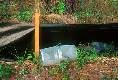 Photo of a small animal live trap used to conduct scientific studies