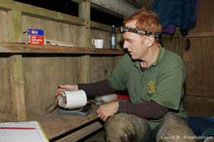 Weighing a Bar-tailed Godwit in New Zealand