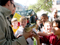 John Wiebe shows visitors the differences between alligators and crocodiles.