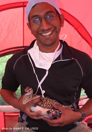 Sathya Chinnadurai holding bird H8 - photo by Robert E. Gill, USGS