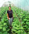 Picture - Woman in Greenhouse