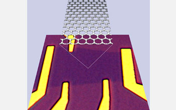 Optical microscope image of the graphene device.