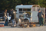 Farmers Viewing Poultry