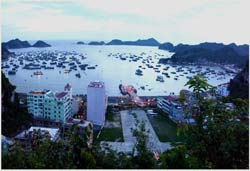 Cat Ba Island, once a sleepy fishing village, is now a resort town.