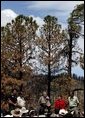 President George W. Bush talks about his Healthy Forests Initiative during a visit to the Coronado National Forest in Summerhaven, Ariz., with, from left, Incident Commander Dan Oltrogge, District Ranger Ron Senn, Secretary of Agriculture Ann Veneman, and�Chief of the National Forest Service Dale Bosworth.�  White House photo by Susan Sterner