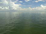 Tampa Bay